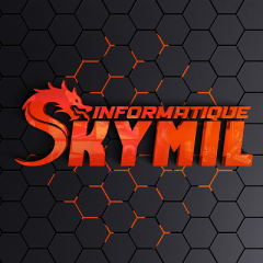 SKYMILL INFORMATIQUE